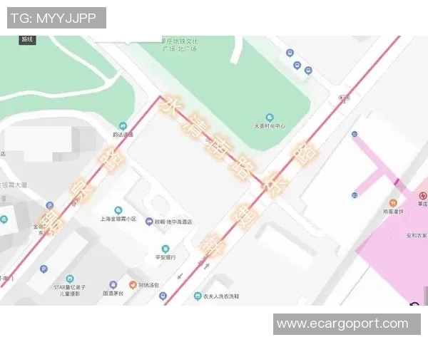 从虹口足球场到莘庄的便捷交通路线及周边景点推荐