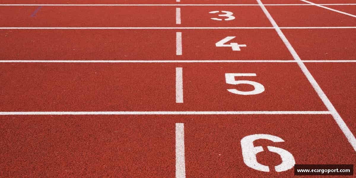 知道熊猫体育中国